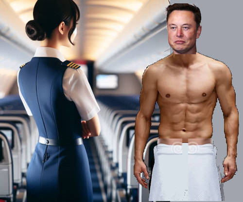 Elon acozando azafata